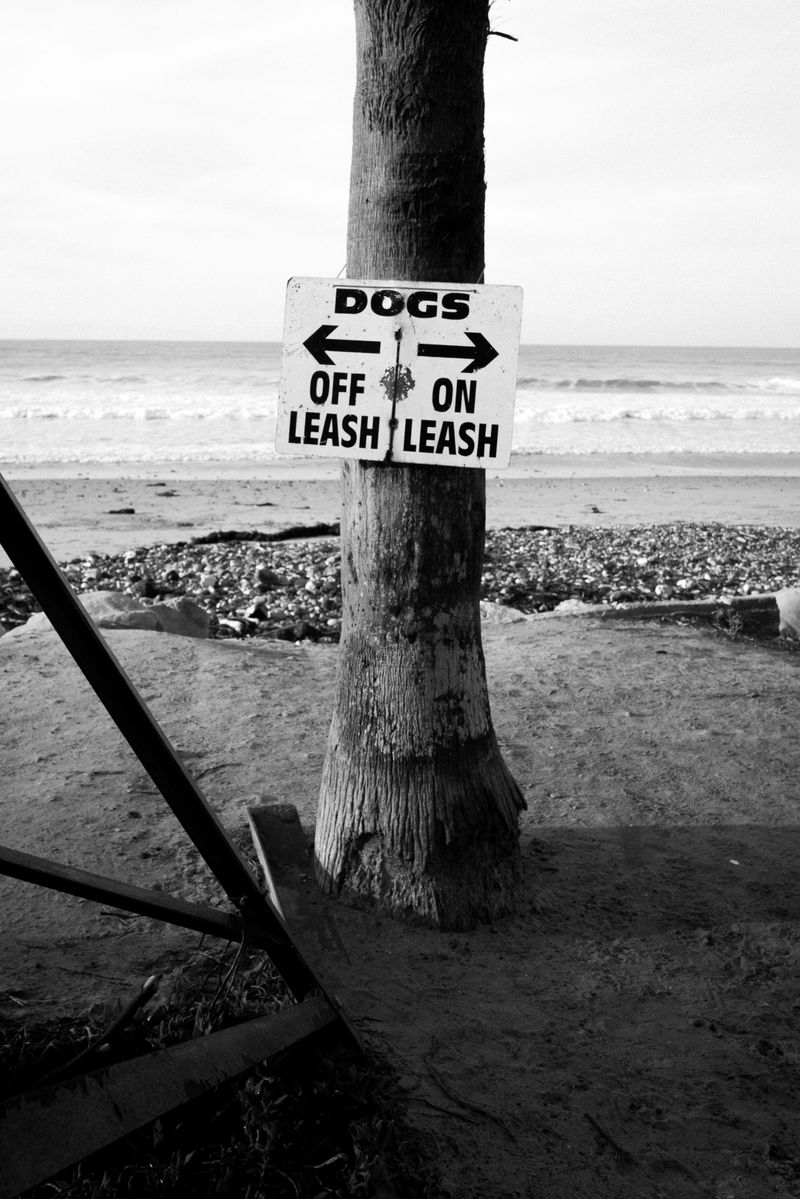 © Phoenix Kanada - Image from the postcards from the American Riviera photography project