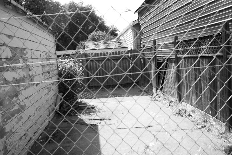 © Phoenix Kanada - Image from the Walking the Dog photography project