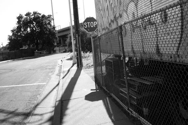 © Phoenix Kanada - Image from the Walking the Dog photography project