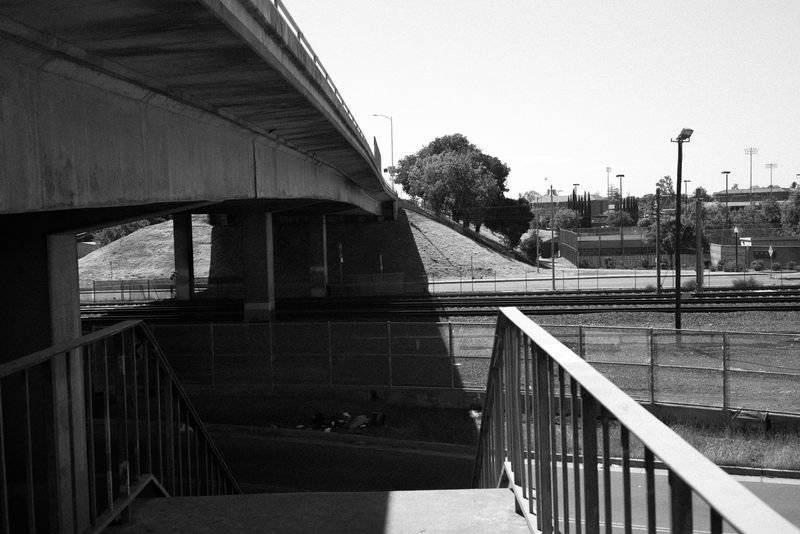 © Phoenix Kanada - Image from the Walking the Dog photography project