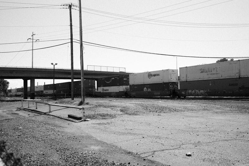 © Phoenix Kanada - Image from the Walking the Dog photography project