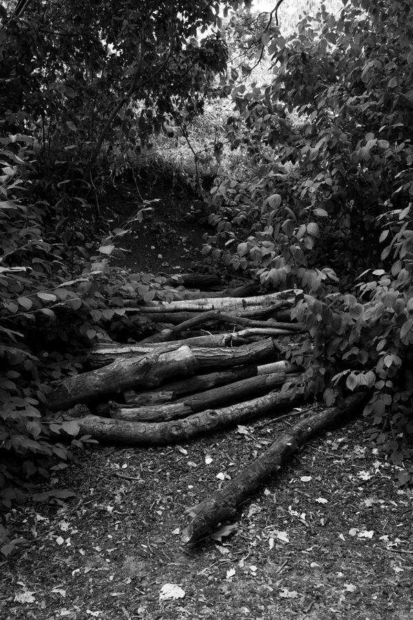 © Phoenix Kanada - Isle of Logs