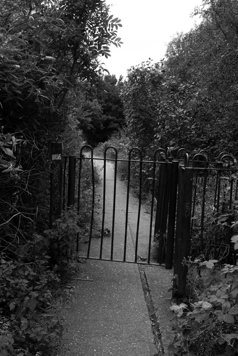 © Phoenix Kanada - Overgrown in the Park