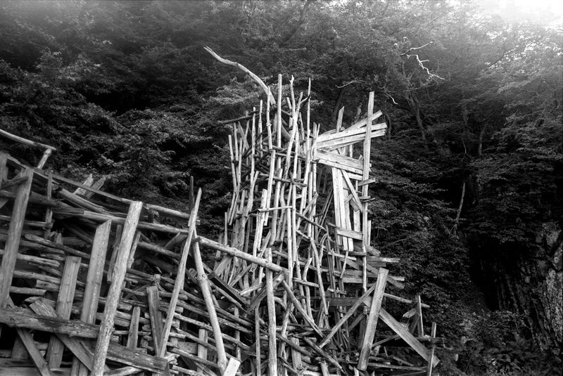 © Ella Baum - Nimis (Håle Stenar, Sweden), 2024