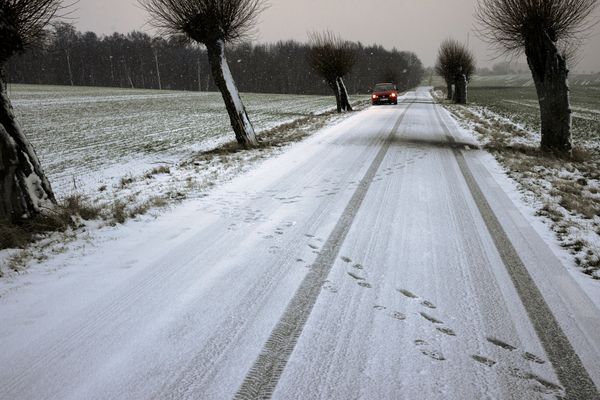 © Ella Baum - Pilevall (Gärdslöv, Sweden), 2023