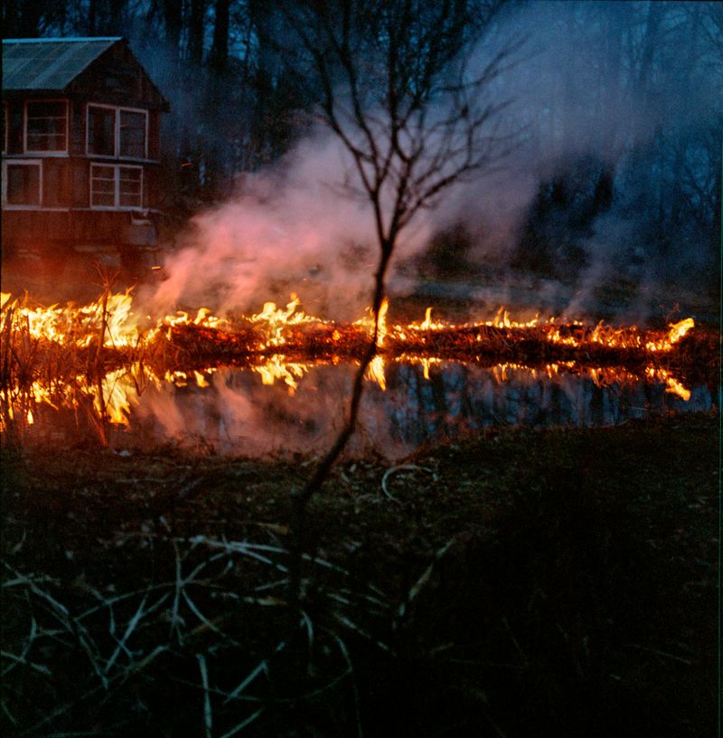 © Ella Baum - Controlled Burn (Gardiner, New York), 2025