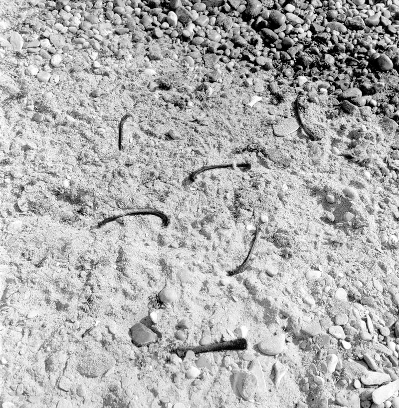 © Ella Baum - Image from the The Navel of the Dream photography project