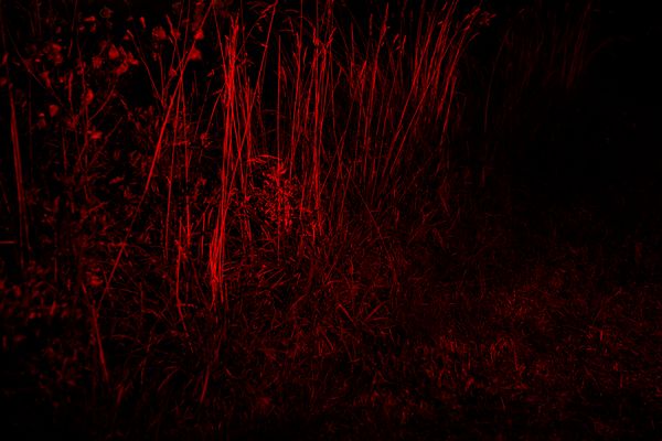 © Ella Baum - Image from the The Navel of the Dream photography project