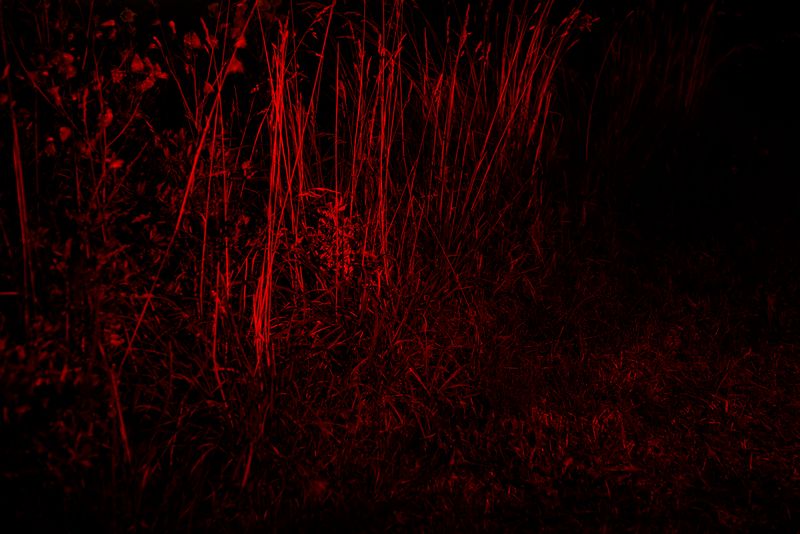 © Ella Baum - Image from the The Navel of the Dream photography project