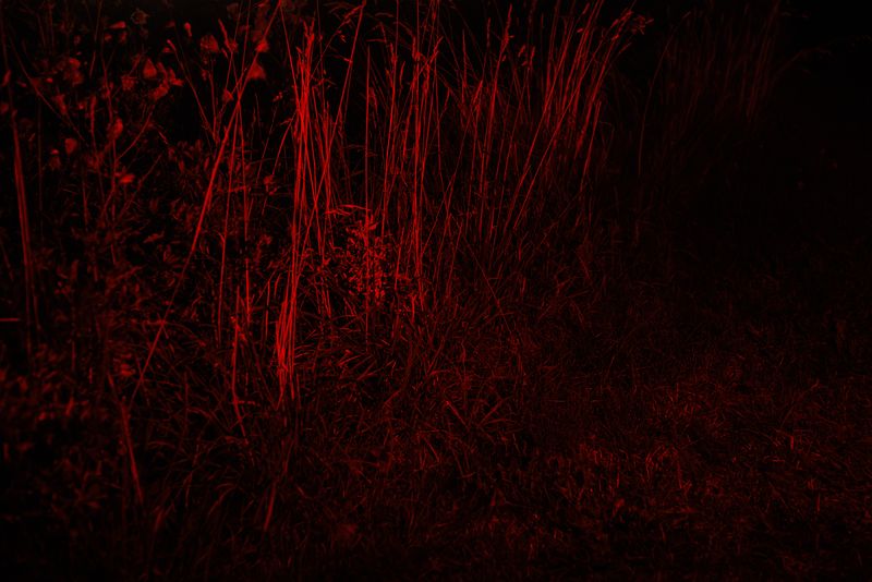 © Ella Baum - Image from the The Navel of the Dream photography project