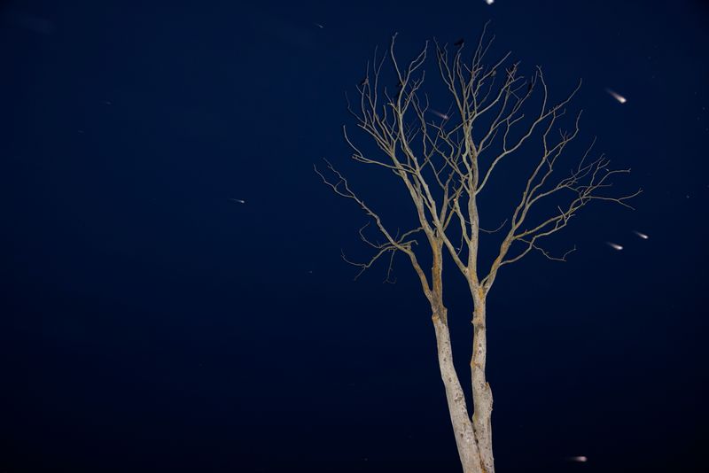 © Ella Baum - Image from the The Navel of the Dream photography project