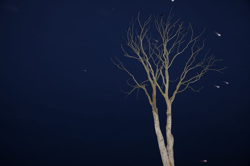 © Ella Baum - Image from the The Navel of the Dream photography project