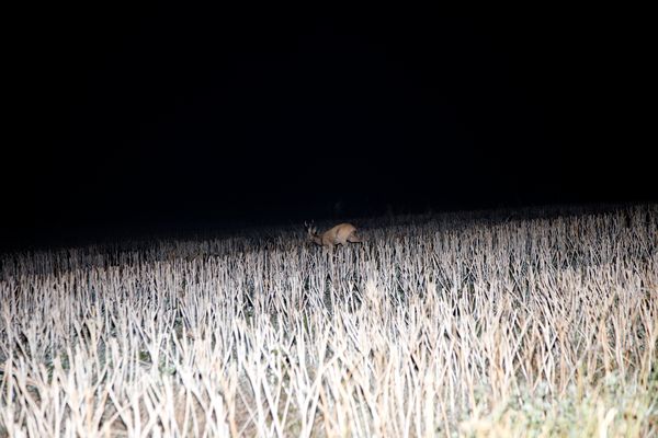 © Ella Baum - Image from the The Navel of the Dream photography project