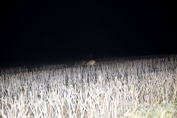 © Ella Baum - Image from the The Navel of the Dream photography project