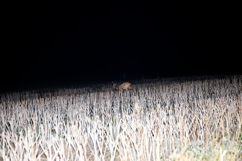 © Ella Baum - Image from the The Navel of the Dream photography project