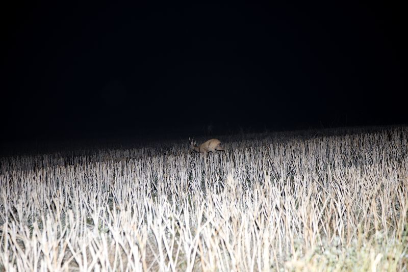 © Ella Baum - Image from the The Navel of the Dream photography project