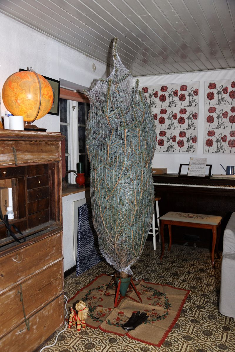 © Ella Baum - Julgran (Assartorp, Sweden), 2023