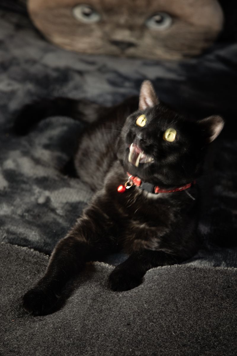 © Jennifer  Loeber - Image from the VERHEXEN photography project