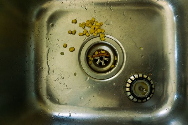 © Annette Ruzicka - Image from the The Sound of Cicadas photography project