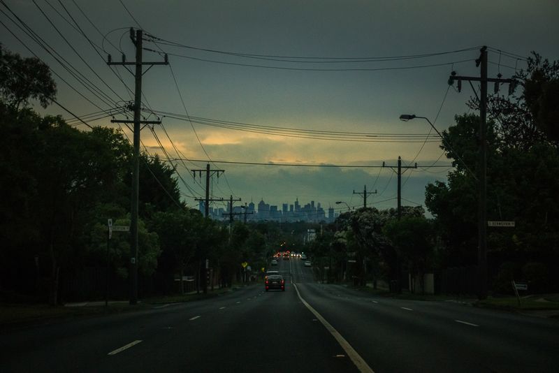 © Annette Ruzicka - Image from the The Sound of Cicadas photography project