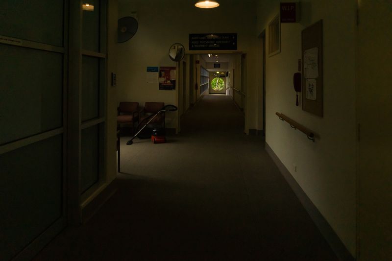 © Annette Ruzicka - Image from the The Sound of Cicadas photography project