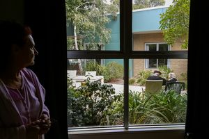 The Sound of Cicadas