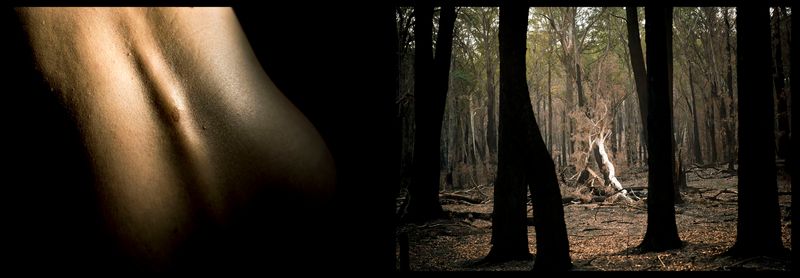 © Annette Ruzicka - Image from the Silent land photography project