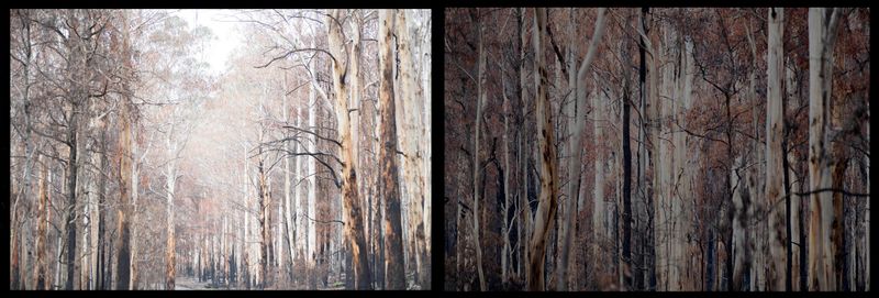 © Annette Ruzicka - Image from the Silent land photography project