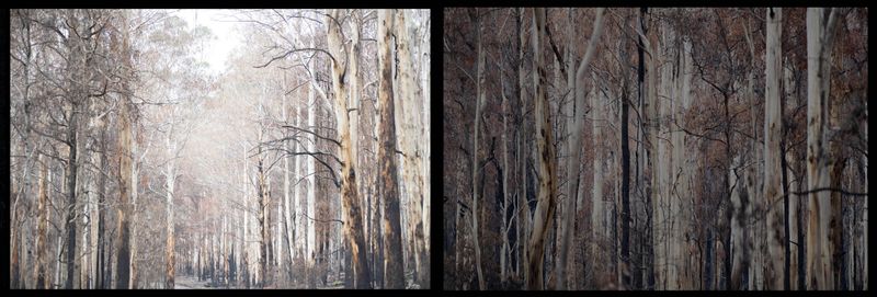 © Annette Ruzicka - Image from the Silent land photography project