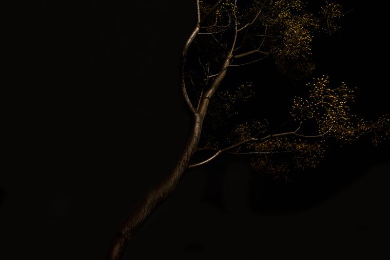 © Annette Ruzicka - Image from the Silent land photography project