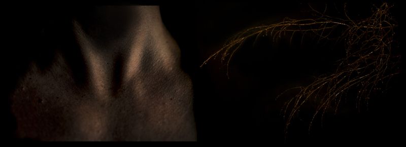 © Annette Ruzicka - Image from the Silent land photography project