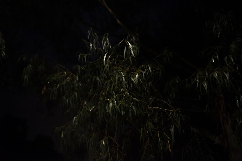 © Annette Ruzicka - Image from the Silent land photography project