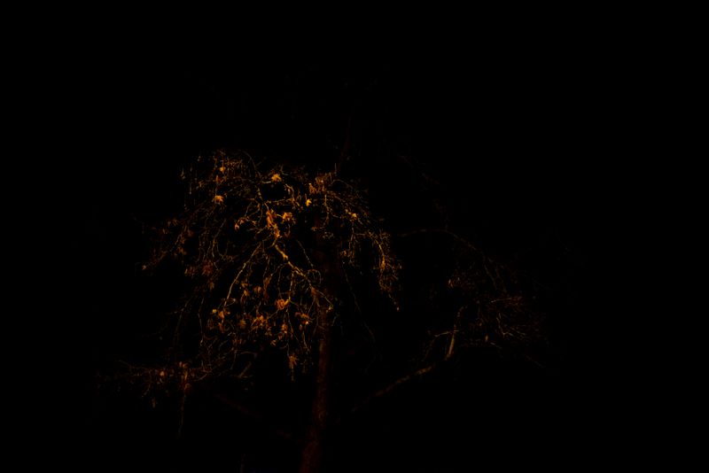 © Annette Ruzicka - Image from the Silent land photography project