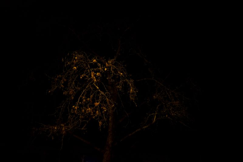 © Annette Ruzicka - Image from the Silent land photography project