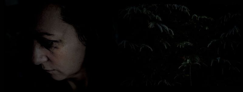 © Annette Ruzicka - Image from the Silent land photography project
