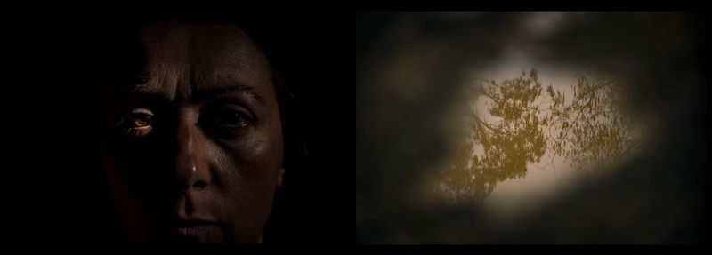 © Annette Ruzicka - Image from the Silent land photography project