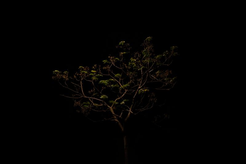 © Annette Ruzicka - Image from the Silent land photography project