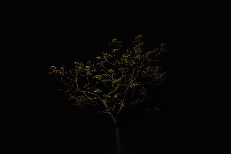 © Annette Ruzicka - Image from the Silent land photography project