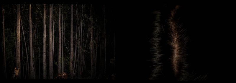 © Annette Ruzicka - Image from the Silent land photography project