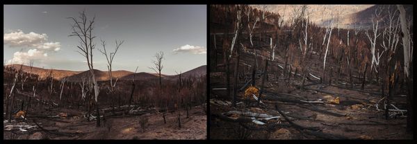 © Annette Ruzicka - Image from the Silent land photography project