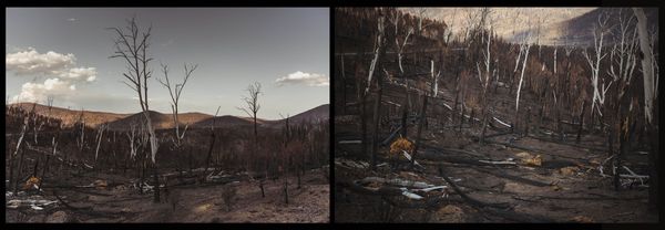 © Annette Ruzicka - Image from the Silent land photography project