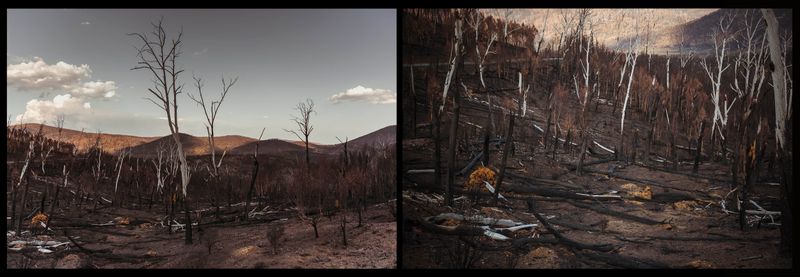 © Annette Ruzicka - Image from the Silent land photography project