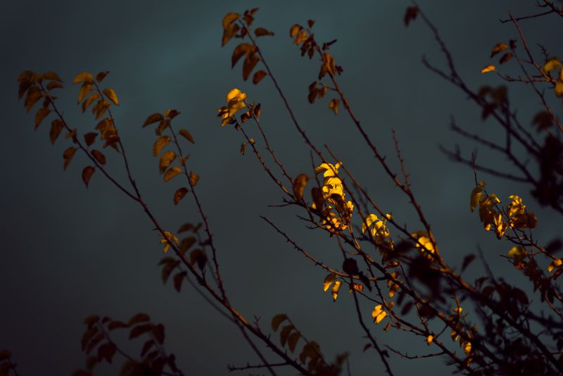 © Annette Ruzicka - Image from the My Father's Runners  photography project