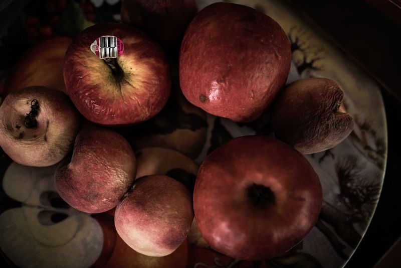 © Annette Ruzicka - The decaying of domesticity.