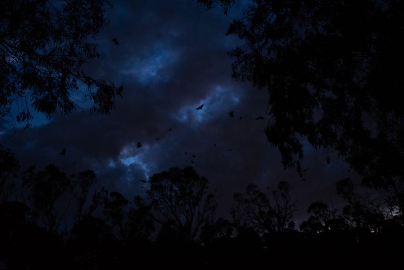 © Annette Ruzicka - Turmoil after visiting my father’s unmarked grave.