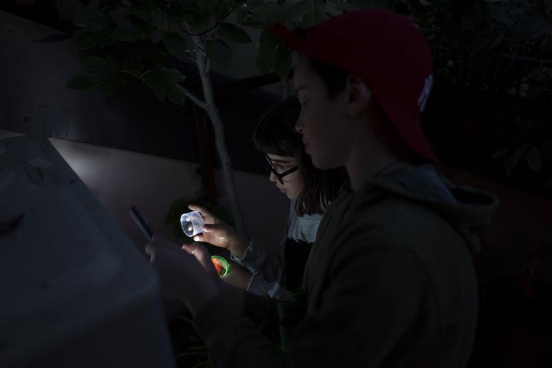 © Paolo Bona - Milano, April 13, 2020Mario and Margherita observing insects on our balcony. Hard times for kids in quarantine.