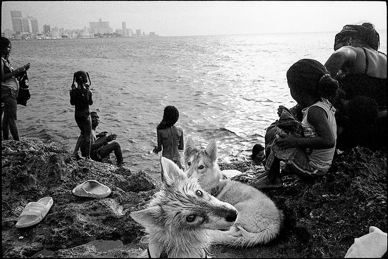 © Manuel Almenares - Image from the Isleño photography project