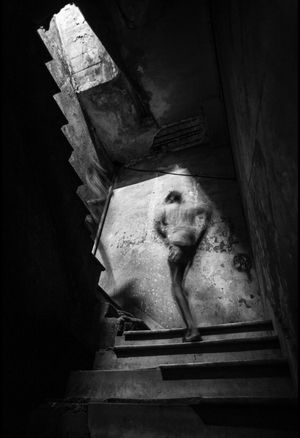 El Monte de Manuel Almenares.