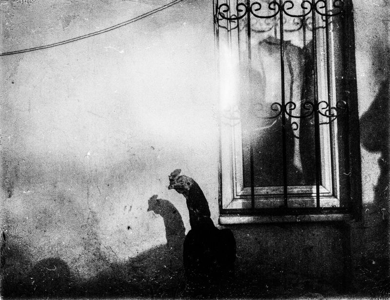 © Esa Ylijaasko - Image from the November is a beginning photography project