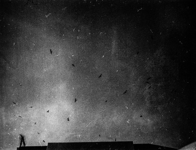 © Esa Ylijaasko - Image from the November is a beginning photography project